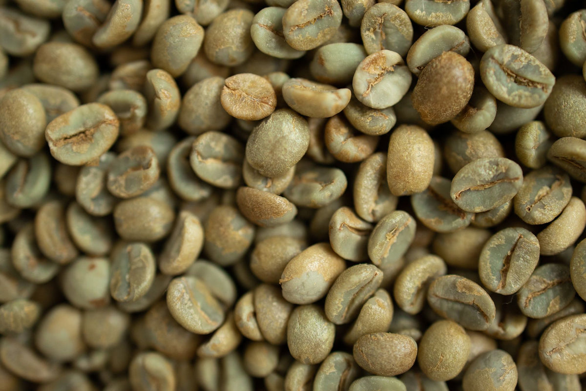 Ongebrande groene koffiebonen, voor de groene koffieolie van The Cleaning Lady van Rosie's Naturals